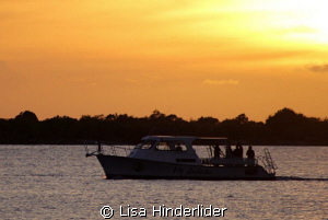 Night Divers Enroute by Lisa Hinderlider 